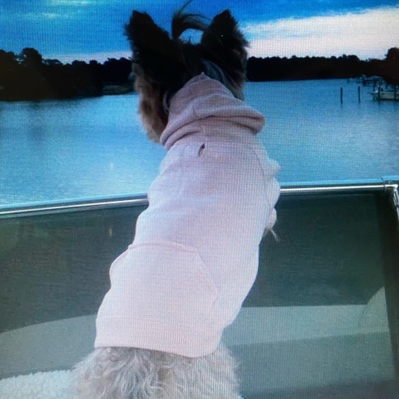 ❤️💕 2 Dog sweatshirts - Picture 6 of 8